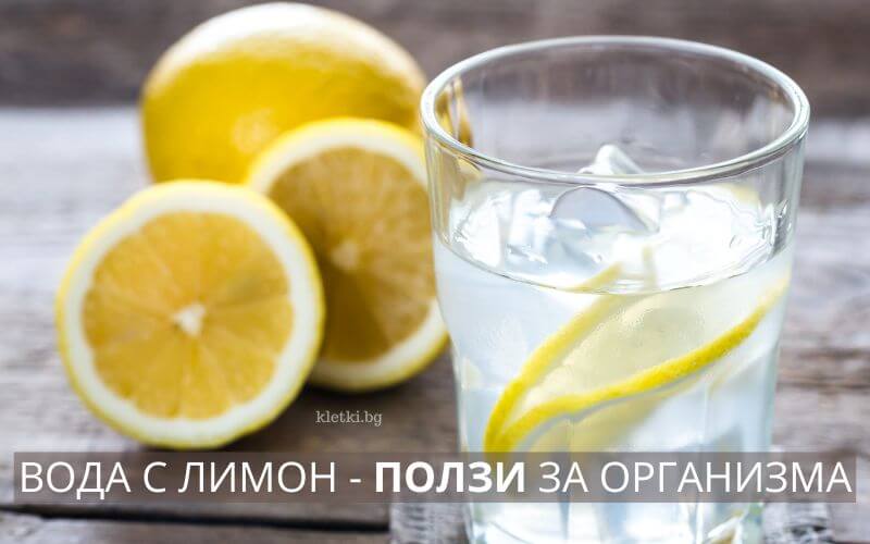 топла вода с лимон ползи